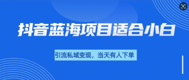 抖音蓝海小赛道私域变现项目，单价9.9单天变现100+，实操玩法分享给你-惠卡乐引流中心