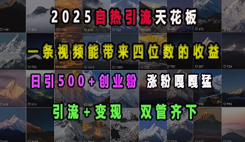 2025自热引流天花板，一条视频能带来四位数的收益，引流+变现双管齐下，日引500+创业粉，涨粉嘎嘎猛-惠卡乐引流中心